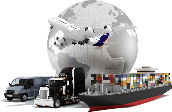 About RR Global Export